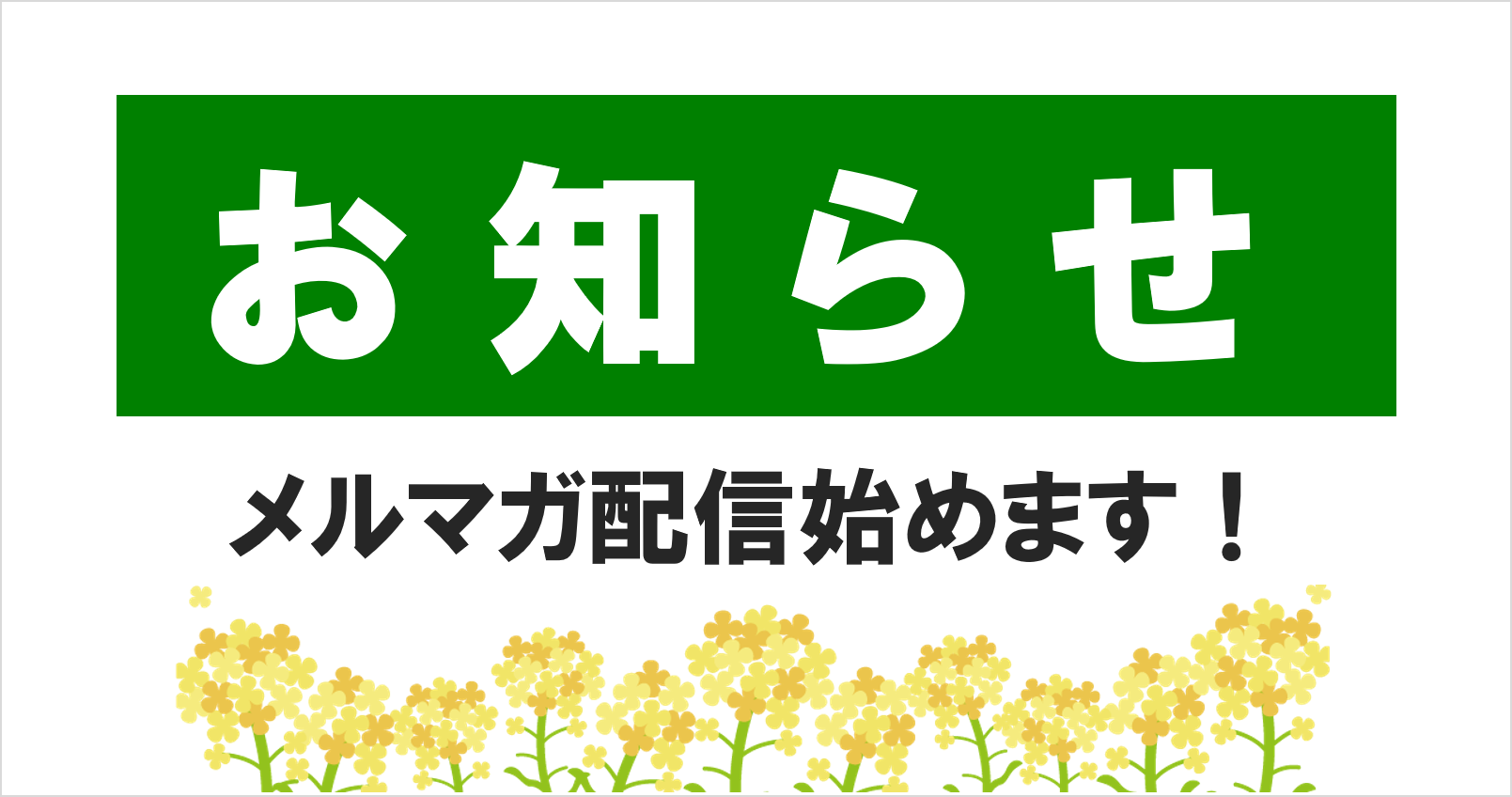 ビデオレター配信開始のお知らせ